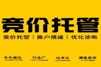 信息流广告成功案例深度剖析